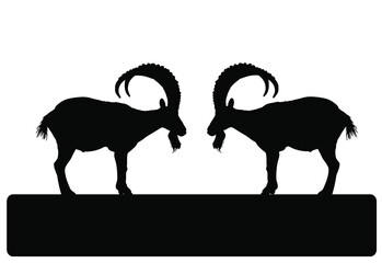 Two bighorn male goats on chump fighting vector silhouette illustration isolated on white. Angry stubborn animal competition. Alpha goat macho conflict over wooden bridge. Natural battle for mating.