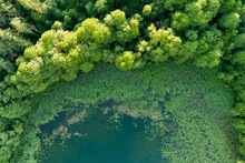 Beautiful Top Down Aerial View Of A Lake In Moletai Region, Famous Or Its Lakes.