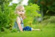 © MNStudio - Silly toddler boy putting soil in his mouth while playing outdoors on sunny summer day. Curious child exploring nature.