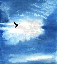Pigeon In The Sky With Clouds. Watercolor Illustration Of A Lonely Flying Bird. A Symbol Of Peace And Freedom.