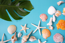 Colorful Shells, Starfish, White Coral Sand And Tropical Leaves On Blue Background. Summer Concept Decorative Marine Elements Composition.