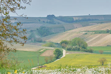 Wall Mural - Vignoble du sancerrois 