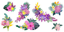 Set Of Tropical Flower Bouquets, Hand Drawn Vector