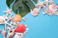 Colorful Shells, Starfish, White Coral Sand And Tropical Leaves On Blue Background. Summer Concept Decorative Marine Elements Composition.