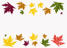 Set With Autumn Leaves, Vector Illustration