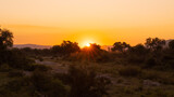 Fototapeta Sawanna - sunset in the Kruger national park