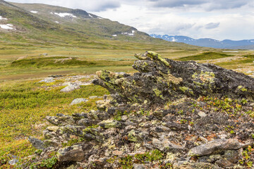 Canvas Print - Rock Formation cover with lichens in a hilly landscape view