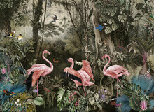 Wallpaper Jungle And Tropical Forest Flamngo And Birds, Old Drawing Vintage.