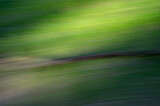 Fototapeta Sport - verschwommenes Grün - der Weg durch den Park
