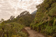 Widok drogi w dżungli z zachmurzonym niebem w Sierra Nevada de Santa Maria w Kolumbii, Minca.