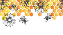 Vintage Border With Honeycombs. Seamless Pattern, Frame With Yellow Honeycombs And Graphic Chamomile Flowers And Bees.