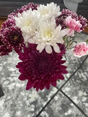 Wall Mural - Purple and white chrysanthemums