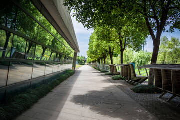 Wall Mural - Modern city buildings, park foreground