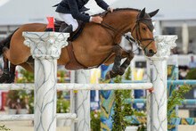 View On An Equestrian Show Jumping Competition