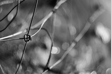 Grayscale Selective Focus Of Metal Fence Wire