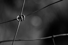 Grayscale Shot Of An Old Metal Wire Fence In The Sunlight
