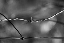 Grayscale Shot Of An Old Metal Barbed Wire Fence In The Sunlight