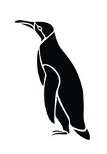 Vector Illustration Of A Black And White Penguin