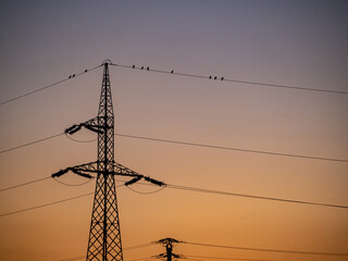 Wall Mural - Transmission tower against a colorful sunset sky