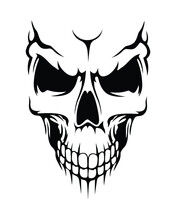 Vector Illustration Of Human Skull On White Background