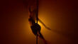 © stockbusters - Sexy silhouette performing erotic dance on strip pole. Woman dancing sensually.