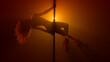 © stockbusters - Seductive girl performing sexy dance on club pylon. Woman practicing poledance
