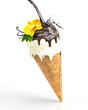 Sahneeis Vanille mit Schoten und Blüte in einer Waffel mit flüssigem Schokoladen-Topping und Schokospritzer