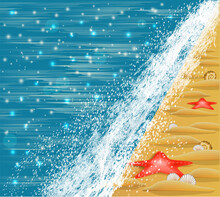 Summer Card With Sea Shells On The Beach , Vector Illustration