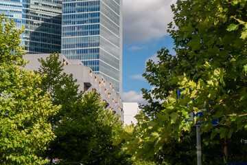 Modern office buildings near the city park with big green trees