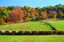 Stacked And Rolled Hay Bales On A West Virginia Hillside Farm Surrounded By Colorful Autumn Trees