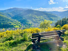 Aerial View Of Lautenbach Behind A Wooden Bench, Its Green Forest And Mountains, With Yellow Flowers On A Sunny Day