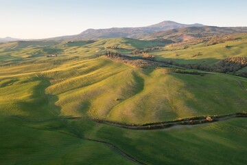 Wall Mural - Tuscany hill landscape. Waves hills, rolling hills, minimalistic landscape with green fields in the Tuscany. Val D'orcia in the province of Siena, Italy
Beautiful sunny day.