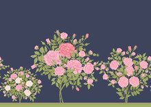 Roses Flowers On Branches. Millefleurs Trendy Floral Design. Seamless Border Pattern, Linear Ornament, Ribbon Vector Illustration. On Blue Denim Background