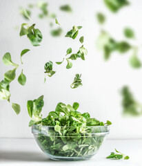 Wall Mural - Green salad in glass bowl and flying lettuce leaves at white background. Healthy cooking preparation. Levitation food concept. Front view.