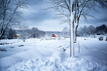 Small red house in Swedish winter landscape