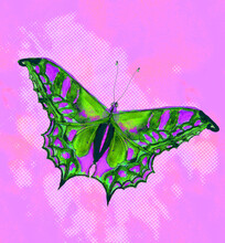 Tropical Butterflies  Print Decorative Vintage Style Illustration On Grunge Modern Background
