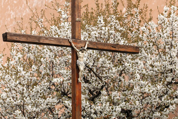 Wall Mural - Cross symbolizing the death and resurrection of Jesus Christ, spring blooming tree, falling white petals. Christian cross on a background of white flowers.