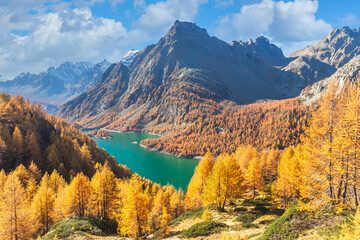 Excellent autumn view of the lake Devero in sunny day. Location place Devero, Italy. Scenic image of famous landmark. Natural wallpapers. Discover the beauty of earth.