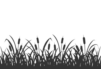 Dark silhouette of marsh grass with reeds. Background with marsh vegetation on white.