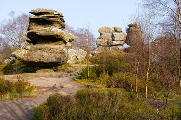 Wall Mural - Group of eroded gritstone rocks at Brimham Rocks, Yorkshire.