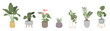 Potted plants vector collection on white background. Set of interior house plants with flower pot, basket, vase, leaves and foliage. Different home indoor green decor illustration for decoration, art.