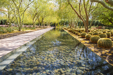 Wall Mural - Cactus garden near a clear fountain with rocks