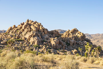 Wall Mural - Rocky landscape in the middle of the desert