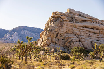 Wall Mural - Rocky landscape in the middle of the desert