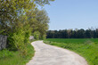 Campos de cultivo atravesado por un camino en primavera.