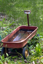 Little Red Wagon Abandoned And Filled With Standing Water