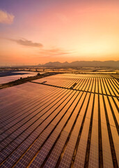 aerial view of solar panel, photovoltaic, alternative electricity source - concept of sustainable re
