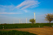 Wind turbines in Thuringia between rapeseed fields