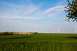 Wind turbines in Thuringia between rapeseed fields