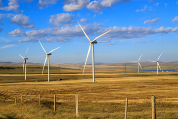 Wall Mural - Wind Turbine Windmill Renewable Energy Alberta Canada